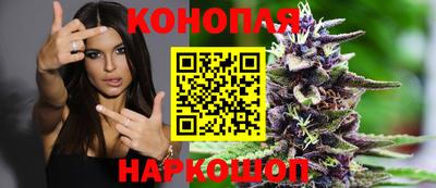трава Краснодар