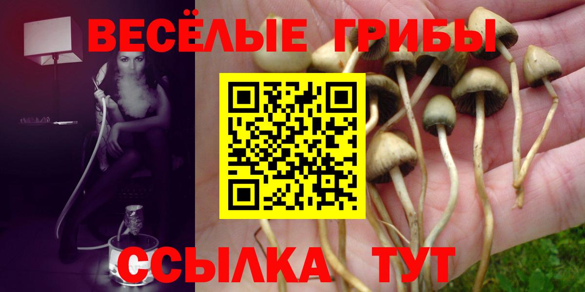Галлюциногенные грибы ЛСД  где можно купить   Кирово-Чепецк  Галлюциногенные грибы Cubensis  Вход с VPN 