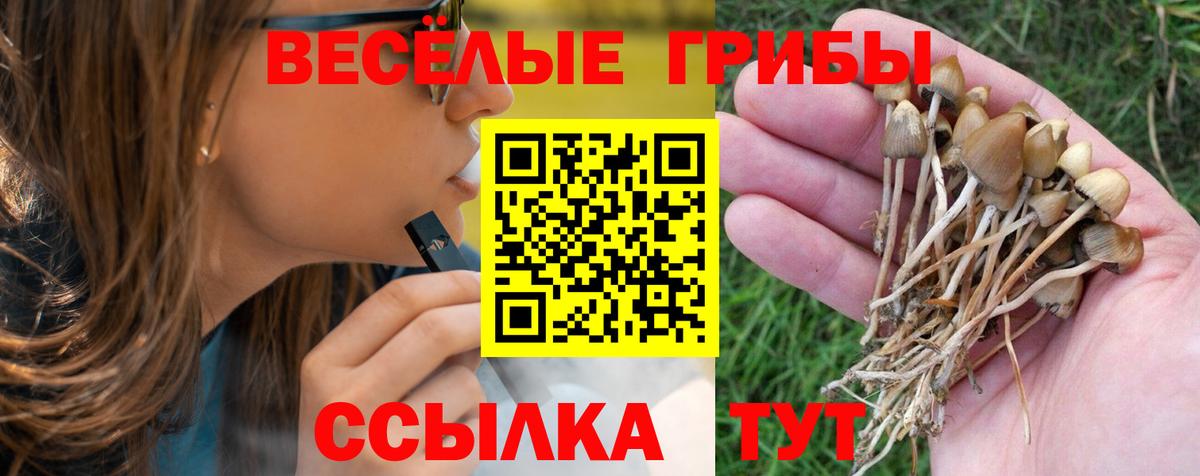 Псилоцибиновые грибы мицелий Кирово-Чепецк